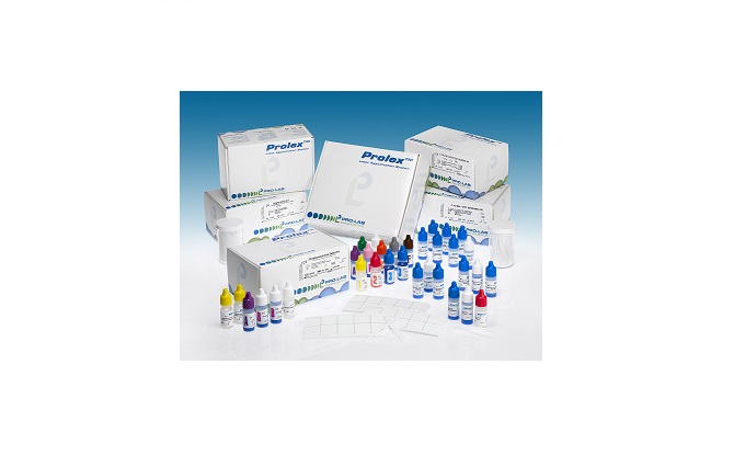 Letax agglutination systems