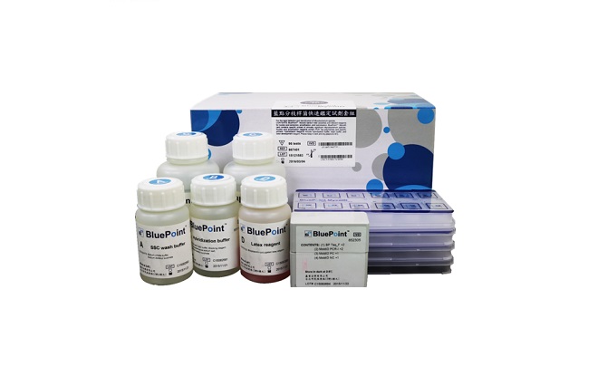 Blue Point MycoID